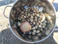 Reiche Ernte  &ndash; &copy; Monika Cortese (Eberhardt TRAVEL)