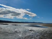 Strand Nähe Takaka  &ndash; &copy; Monika Cortese (Eberhardt TRAVEL)