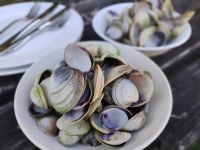 Gelungene Vorspeise  &ndash; &copy; Monika Cortese (Eberhardt TRAVEL)