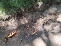 Natural Flames &ndash; &copy; Monika Cortese (Eberhardt TRAVEL)