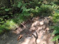 Natural Flames  &ndash; &copy; Monika Cortese (Eberhardt TRAVEL)