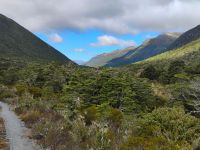Alpiner Natur Walk am Lewis Pass  &ndash; &copy; Monika Cortese (Eberhardt TRAVEL)