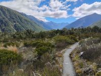 Alpiner Natur Walk am Lewis Pass &ndash; &copy; Monika Cortese (Eberhardt TRAVEL)
