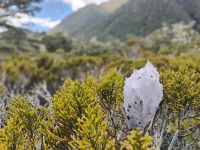 Spinnennest-Architektur &ndash; &copy; Monika Cortese (Eberhardt TRAVEL)