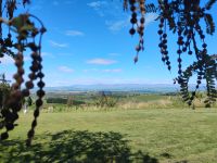 Rundum-Aussichtspunkt”Waitohi Bush