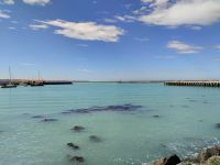 Hafen Oamaru  &ndash; &copy; Monika Cortese (Eberhardt TRAVEL)