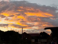 ...wir warten auf die Pinguine &ndash; &copy; Monika Cortese (Eberhardt TRAVEL)