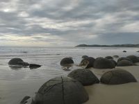 Moeraki Boulders &ndash; &copy; Monika Cortese (Eberhardt TRAVEL)