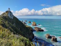 Nugget Point  &ndash; &copy; Monika Cortese (Eberhardt TRAVEL)