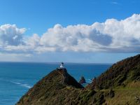 Nugget Point  &ndash; &copy; Monika Cortese (Eberhardt TRAVEL)