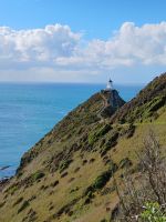 Nugget Point  &ndash; &copy; Monika Cortese (Eberhardt TRAVEL)