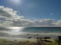 Strand kurz vor Nugget Point  &ndash; &copy; Monika Cortese (Eberhardt TRAVEL)