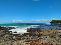 Curio Bay &ndash; &copy; Monika Cortese (Eberhardt TRAVEL)