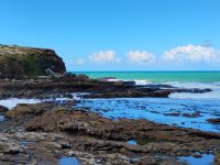 Curio Bay &ndash; &copy; Monika Cortese (Eberhardt TRAVEL)