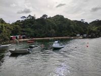 Kleine Wanderung zu Golden Bay Wharf &ndash; &copy; Monika Cortese (Eberhardt TRAVEL)
