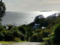 Blick auf Halfmoonbay, Stewart Island  &ndash; &copy; Monika Cortese (Eberhardt TRAVEL)