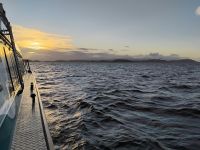 Abendausflug Kiwi-Experience  &ndash; &copy; Monika Cortese (Eberhardt TRAVEL)