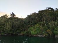 Kormorane  &ndash; &copy; Monika Cortese (Eberhardt TRAVEL)