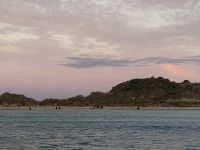 Seelöwen in der Little Glory Cove &ndash; &copy; Monika Cortese (Eberhardt TRAVEL)