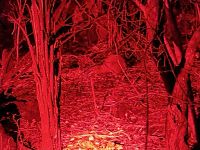 Kiwi! &ndash; &copy; Monika Cortese (Eberhardt TRAVEL)