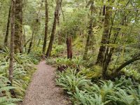 Kepler track  &ndash; &copy; Monika Cortese (Eberhardt TRAVEL)