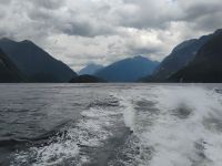 Doubtful Sound  &ndash; &copy; Monika Cortese (Eberhardt TRAVEL)