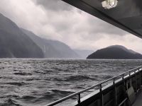 Doubtful Sound  &ndash; &copy; Monika Cortese (Eberhardt TRAVEL)