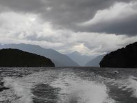 Doubtful Sound  &ndash; &copy; Monika Cortese (Eberhardt TRAVEL)