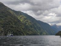 Doubtful Sound &ndash; &copy; Monika Cortese (Eberhardt TRAVEL)