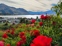 Wanaka  &ndash; &copy; Monika Cortese (Eberhardt TRAVEL)