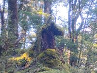 Welches Tier? &ndash; &copy; Monika Cortese (Eberhardt TRAVEL)