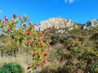 Clay Cliffs  &ndash; &copy; Monika Cortese (Eberhardt TRAVEL)