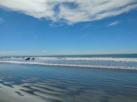 Scarborough Beach, Christchurch &ndash; &copy; Monika Cortese (Eberhardt TRAVEL)