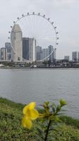 20260223_9 das Riesenrad von Singapur.jpg &ndash; &copy; Michael Rass (Eberhardt TRAVEL)
