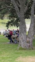 20260226_7 Picknick in Taputataputa.jpg &ndash; &copy; Michael Rass (Eberhardt TRAVEL)