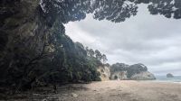 20260228_9 Cathedral Cove.jpg &ndash; &copy; Michael Rass (Eberhardt TRAVEL)