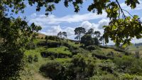 20260301_17 Hobbiton.jpg &ndash; &copy; Michael Rass (Eberhardt TRAVEL)