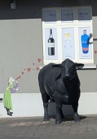 20260303_7 Bulls.jpg &ndash; &copy; Michael Rass (Eberhardt TRAVEL)