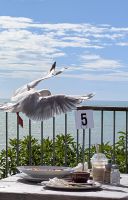 &copy; Michael Rass (Eberhardt TRAVEL)