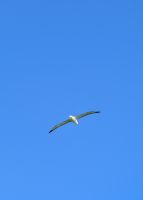 &copy; Michael Rass (Eberhardt TRAVEL)