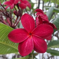 &copy; Franziska Bergmann (Eberhardt TRAVEL)