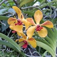 &copy; Franziska Bergmann (Eberhardt TRAVEL)