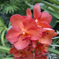 &copy; Franziska Bergmann (Eberhardt TRAVEL)