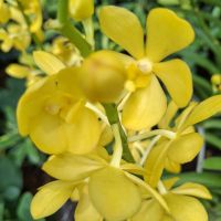 &copy; Franziska Bergmann (Eberhardt TRAVEL)