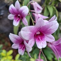 &copy; Franziska Bergmann (Eberhardt TRAVEL)