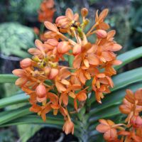 &copy; Franziska Bergmann (Eberhardt TRAVEL)