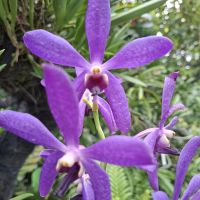 &copy; Franziska Bergmann (Eberhardt TRAVEL)