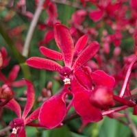 &copy; Franziska Bergmann (Eberhardt TRAVEL)