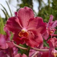 &copy; Franziska Bergmann (Eberhardt TRAVEL)