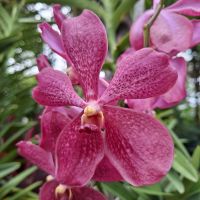 &copy; Franziska Bergmann (Eberhardt TRAVEL)